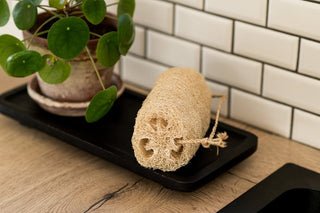 Luffah : l'éponge végétale multi-usage pour la maison et la peau Eponge luffa Retour O Naturel 