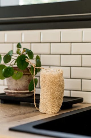 Luffah : l'éponge végétale multi-usage pour la maison et la peau Eponge luffa Retour O Naturel 